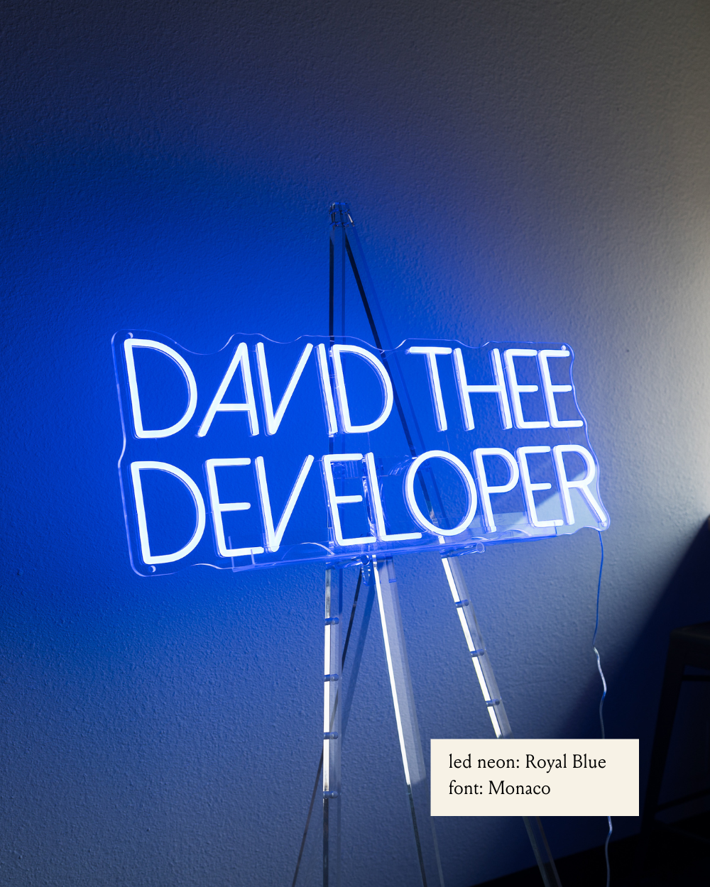 Custom LED Neon Sign