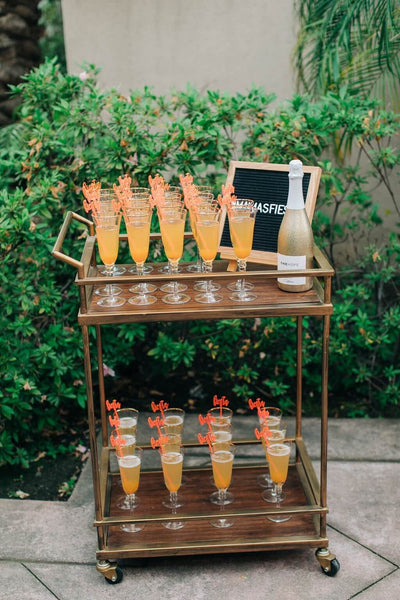 Fiesta Drink Stirrers